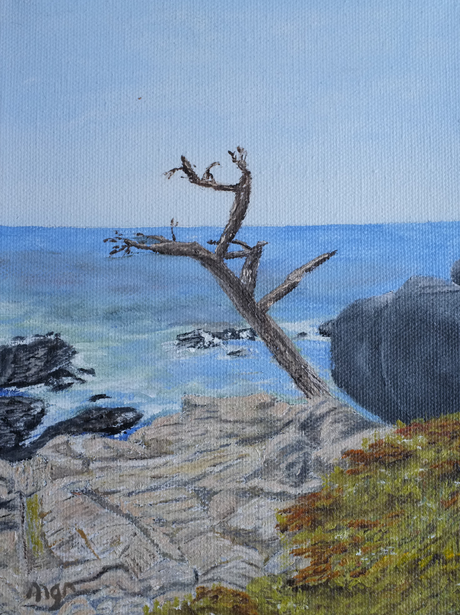 Thumbnail Image of 17 Mile Drive