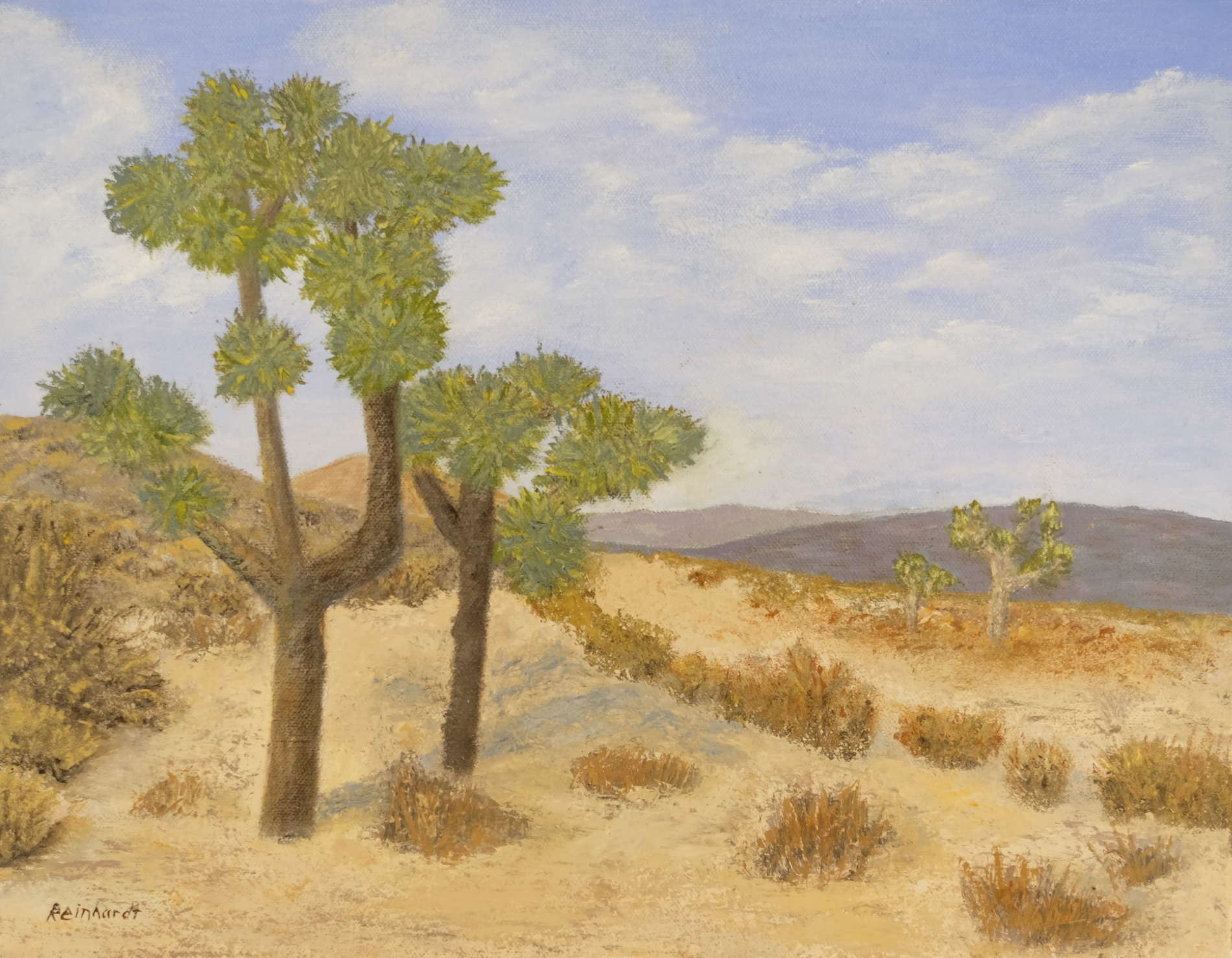 Thumbnail Image of Joshua Tree