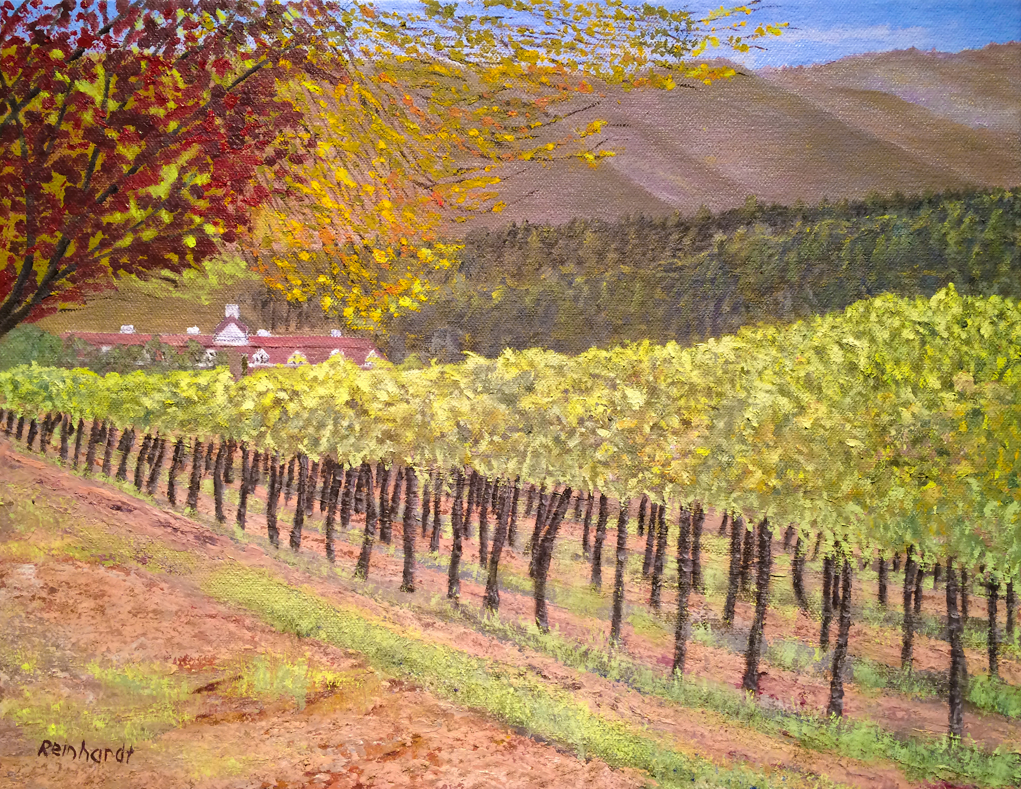 Thumbnail Image of Napa Vineyard