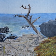 Thumbnail Image of 17 Mile Drive